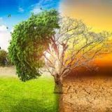 Comendador Fabrício Santos: ‘Mudanças Climáticas’