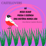 Ana Maria Castelo Branco: ‘Poesia e essência’
