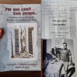 Patrícia Alvarenga: ”Por que caiu? Caiu porque…’ – a história por trás da queda do Palace Dois na Barra da Tijuca’