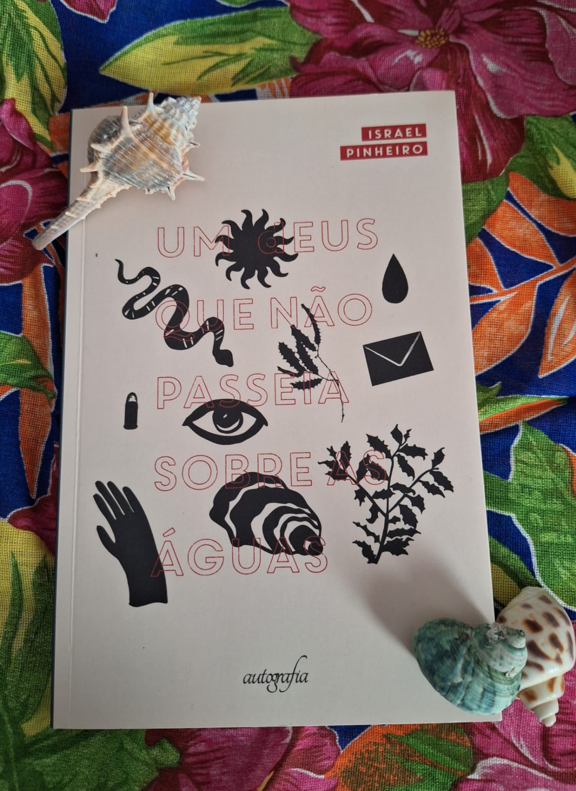 Capa do livro "Um Deus não passeia sobre as águas" do autor Israel Pinheiro